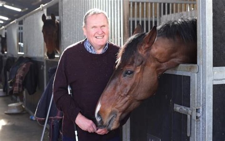 Andrew Gemmell Horse Owner Wikipedia and Net Worth, How Rich Is He?