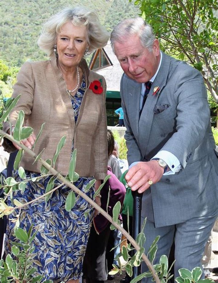 Camilla, Duchess of Cornwall Bio, Wiki, Age, Prince Charles, Height, Spouse, Wedding, Children, Net Worth