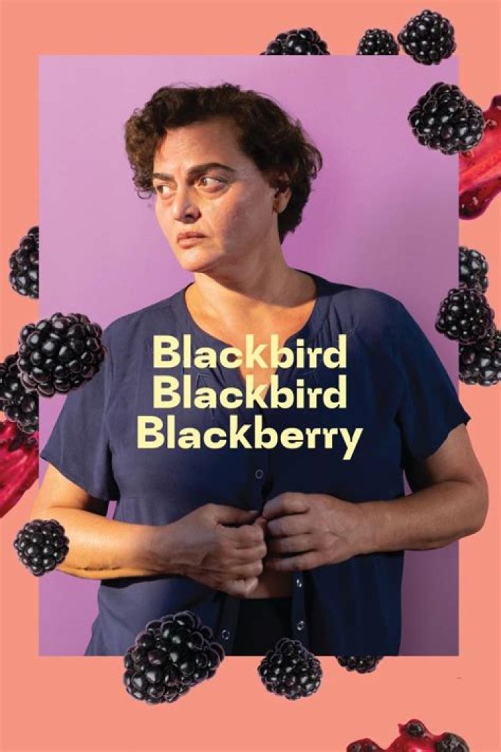 Lady Blackbird Wikipedia Age – Meet The Musical Artist On Instagram