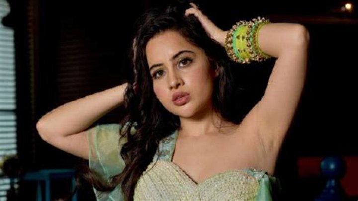 Urfi Javed Height, Weight, Age, Biography, Wiki, Boyfriend, Family