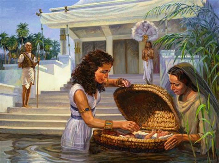 Where was moses born
