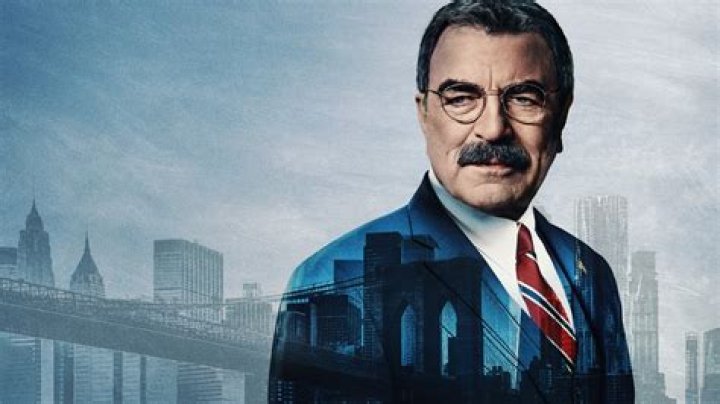 Who Is Katie Kreisler? Everything To Know About The Cast Of Blue Bloods